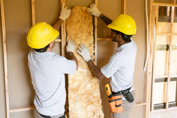 Eco-Friendly or Green Insulation Solutions in Waseca, MN