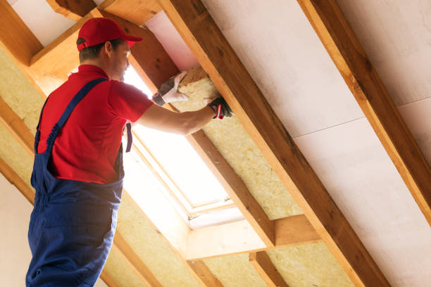 Best Eco-Friendly or Green Insulation Solutions  in Waseca, MN